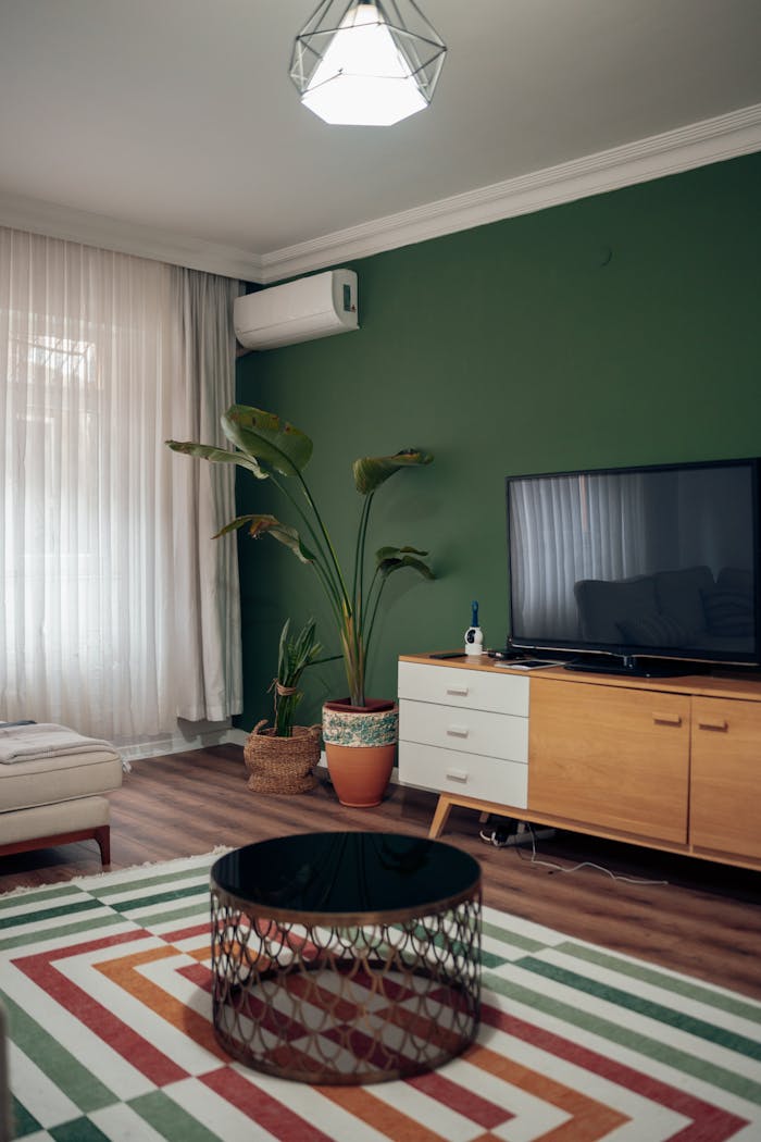 Stylish living room featuring green accent wall, indoor plant, and contemporary furniture